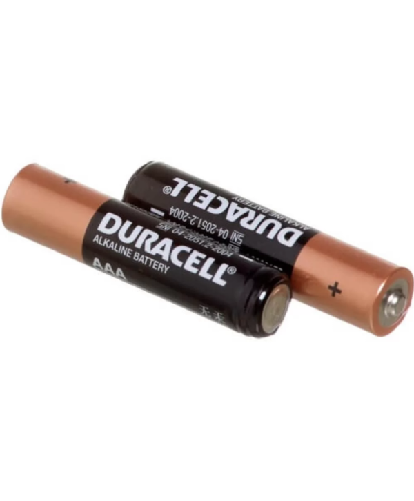 Pilha Alcalina AA c/2 Duracell